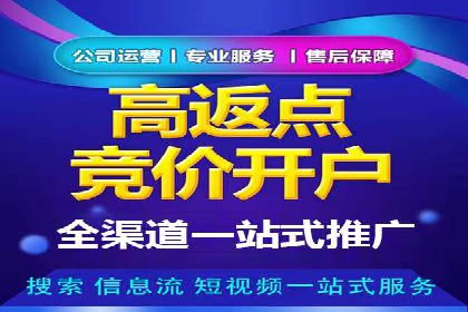 竞价广告的投放策略与网络推广的实践案例